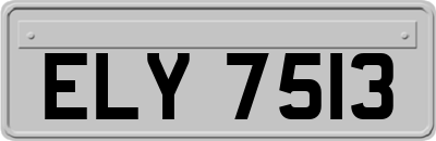 ELY7513