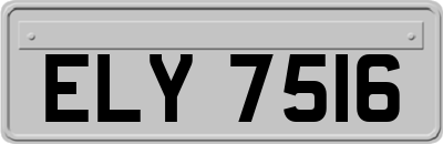 ELY7516