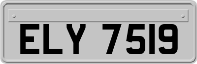 ELY7519