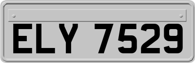 ELY7529