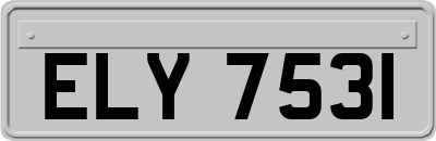 ELY7531
