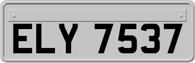 ELY7537