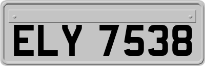ELY7538