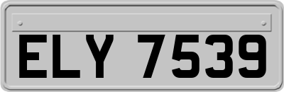 ELY7539