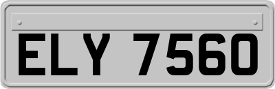 ELY7560