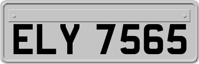 ELY7565
