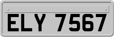 ELY7567