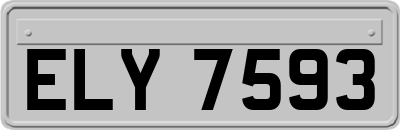 ELY7593