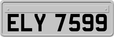ELY7599