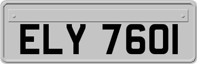 ELY7601