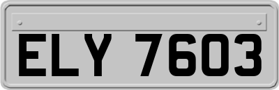 ELY7603