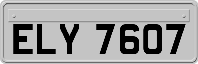 ELY7607
