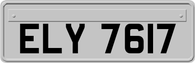ELY7617