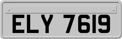 ELY7619