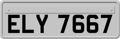 ELY7667