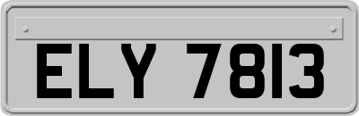 ELY7813