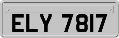 ELY7817