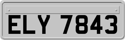 ELY7843