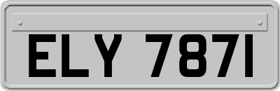 ELY7871