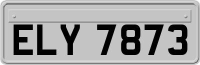 ELY7873
