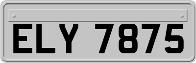 ELY7875
