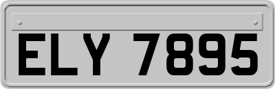 ELY7895