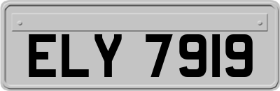 ELY7919