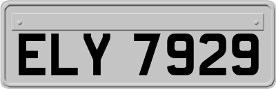 ELY7929
