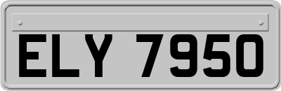 ELY7950