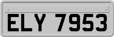 ELY7953