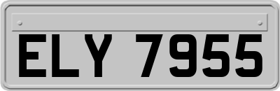 ELY7955