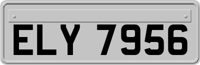 ELY7956