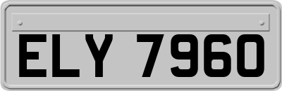 ELY7960
