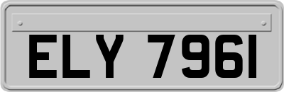 ELY7961