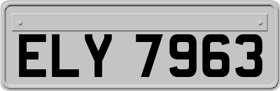 ELY7963
