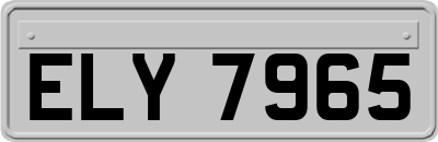 ELY7965