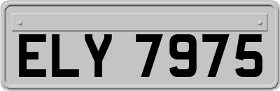 ELY7975