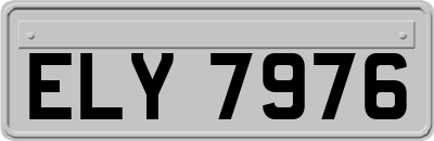 ELY7976