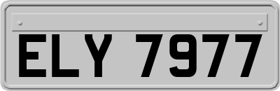 ELY7977