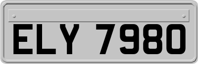 ELY7980