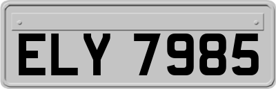 ELY7985