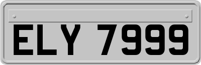 ELY7999