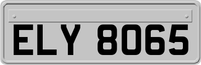 ELY8065