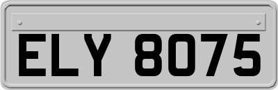 ELY8075