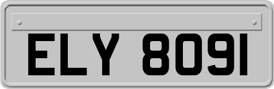 ELY8091