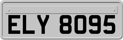ELY8095