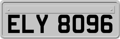 ELY8096