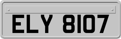 ELY8107