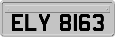 ELY8163