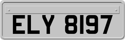 ELY8197